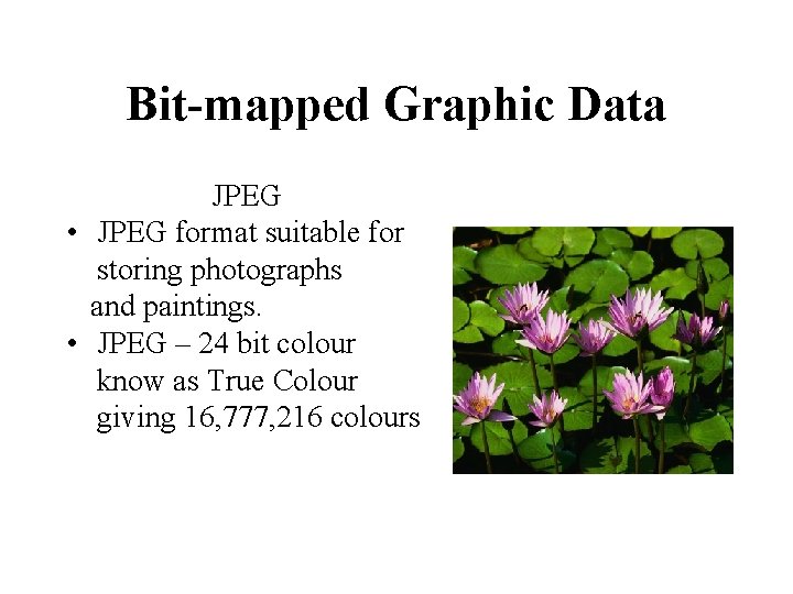 Bit-mapped Graphic Data JPEG • JPEG format suitable for storing photographs and paintings. •