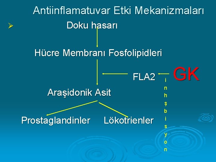 Antiinflamatuvar Etki Mekanizmaları Ø Doku hasarı Hücre Membranı Fosfolipidleri FLA 2 Araşidonik Asit Prostaglandinler