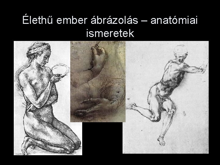 Élethű ember ábrázolás – anatómiai ismeretek 