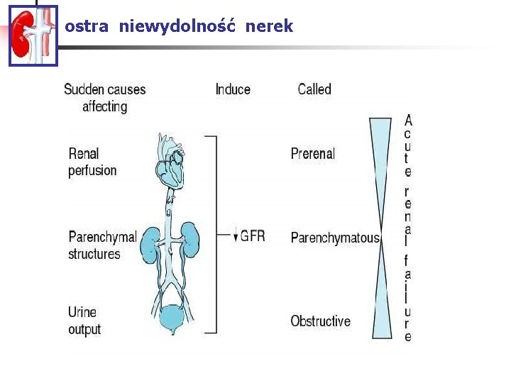 ostra niewydolność nerek 