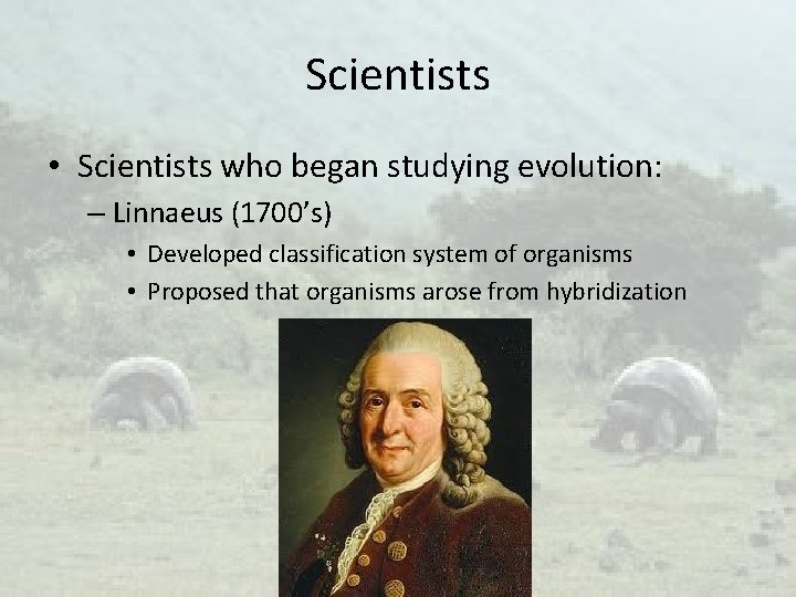 Scientists • Scientists who began studying evolution: – Linnaeus (1700’s) • Developed classification system