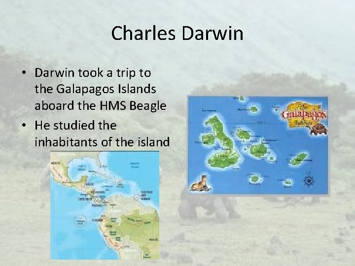 Charles Darwin • Darwin took a trip to the Galapagos Islands aboard the HMS