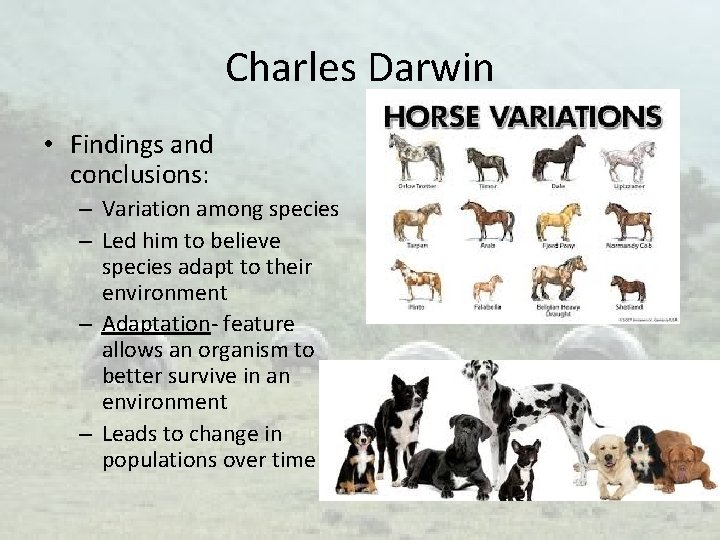 Charles Darwin • Findings and conclusions: – Variation among species – Led him to