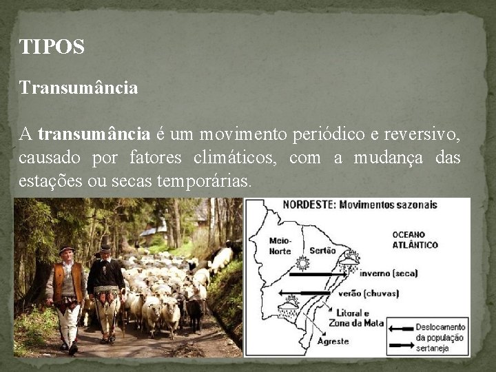 TIPOS Transumância A transumância é um movimento periódico e reversivo, causado por fatores climáticos,