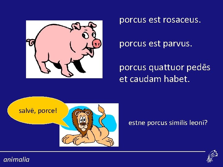 porcus est rosaceus. porcus est parvus. porcus quattuor pedēs et caudam habet. salvē, porce!