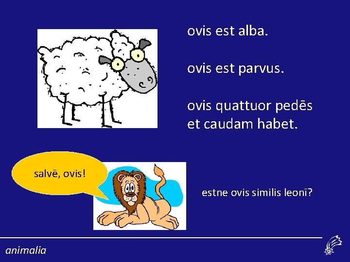 ovis est alba. ovis est parvus. ovis quattuor pedēs et caudam habet. salvē, ovis!