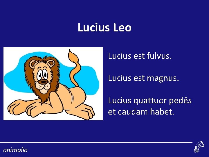 Lucius Leo Lucius est fulvus. Lucius est magnus. Lucius quattuor pedēs et caudam habet.