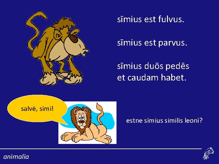 sīmius est fulvus. sīmius est parvus. sīmius duōs pedēs et caudam habet. salvē, sīmī!