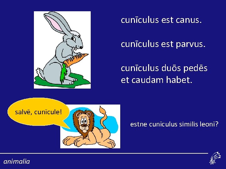 cunīculus est canus. cunīculus est parvus. cunīculus duōs pedēs et caudam habet. salvē, cunīcule!