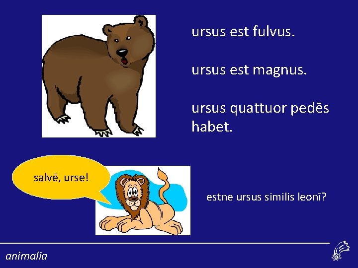 ursus est fulvus. ursus est magnus. ursus quattuor pedēs habet. salvē, urse! estne ursus