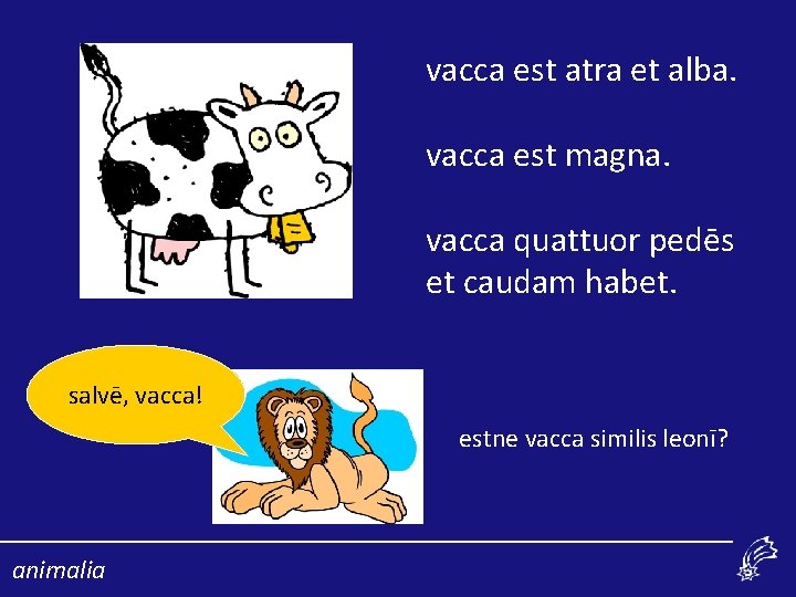 vacca est atra et alba. vacca est magna. vacca quattuor pedēs et caudam habet.