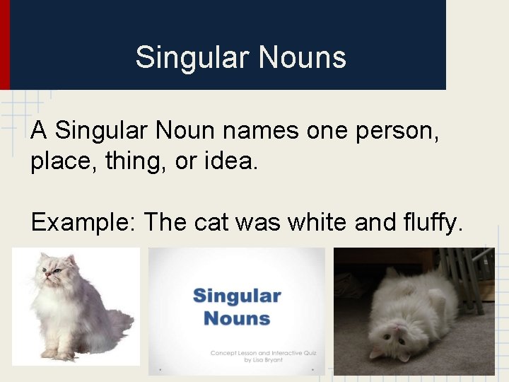 Singular Nouns A Singular Noun names one person, place, thing, or idea. Example: The