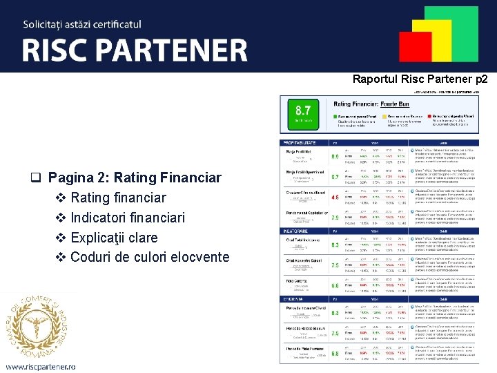 Raportul Risc Partener p 2 q Pagina 2: Rating Financiar v Rating financiar v