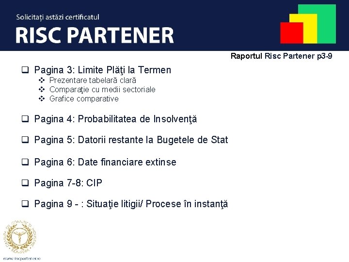 Raportul Risc Partener p 3 -9 q Pagina 3: Limite Plăţi la Termen v