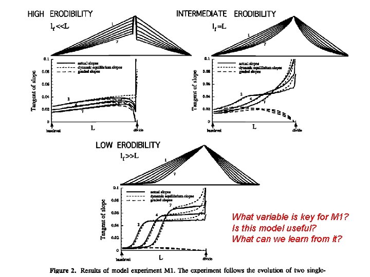 What variable is key for M 1? Is this model useful? What can we