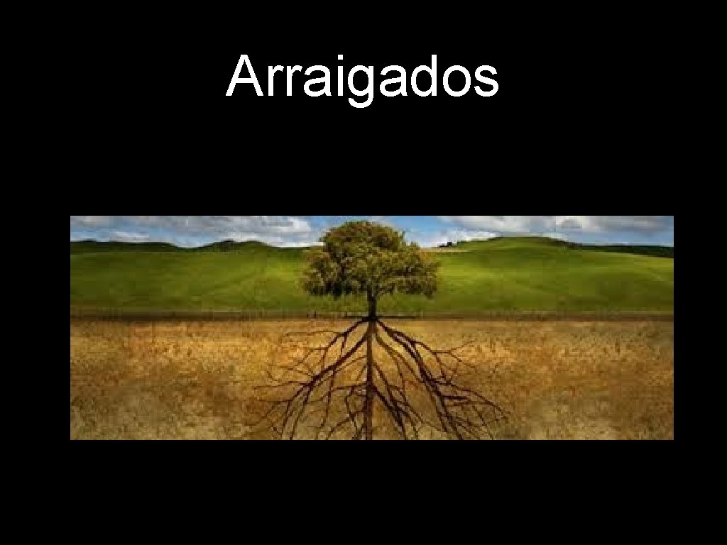 Arraigados 