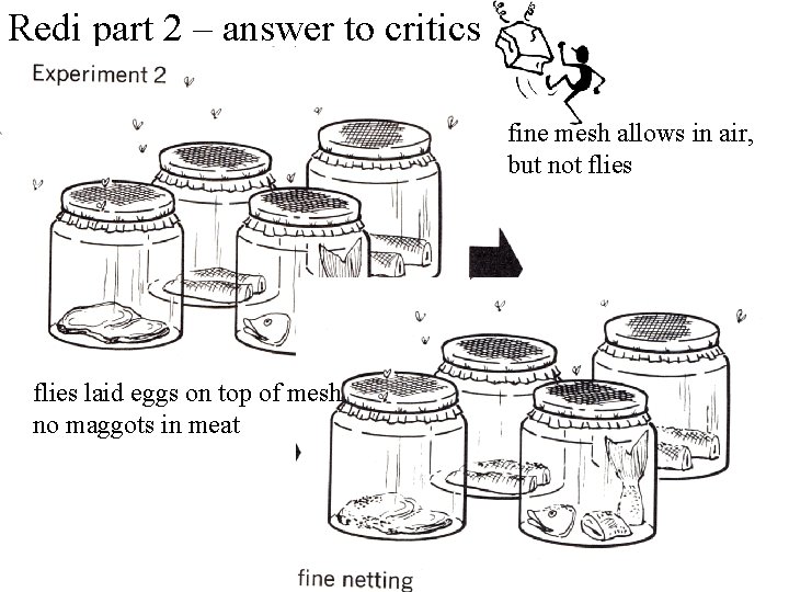Redi part 2 – answer to critics fine mesh allows in air, but not Redi part 2 – answer to critics fine mesh allows in air, but not
