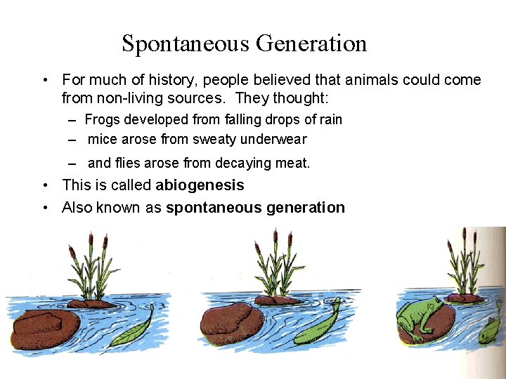 Spontaneous Generation • For much of history, people believed that animals could come from Spontaneous Generation • For much of history, people believed that animals could come from