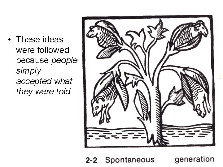 • These ideas were followed because people simply accepted what they were told • These ideas were followed because people simply accepted what they were told