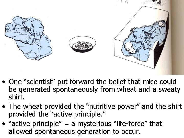 • One “scientist” put forward the belief that mice could be generated spontaneously • One “scientist” put forward the belief that mice could be generated spontaneously