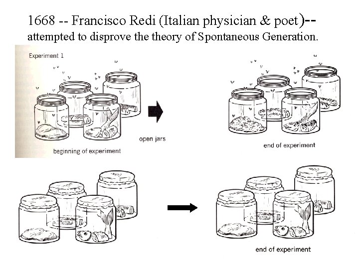 1668 -- Francisco Redi (Italian physician & poet)-attempted to disprove theory of Spontaneous Generation. 1668 -- Francisco Redi (Italian physician & poet)-attempted to disprove theory of Spontaneous Generation.