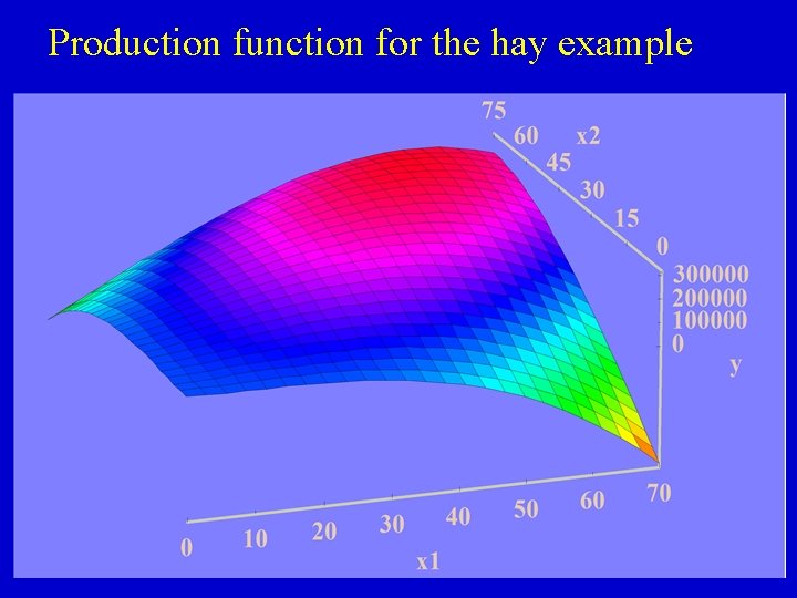 Production function for the hay example 