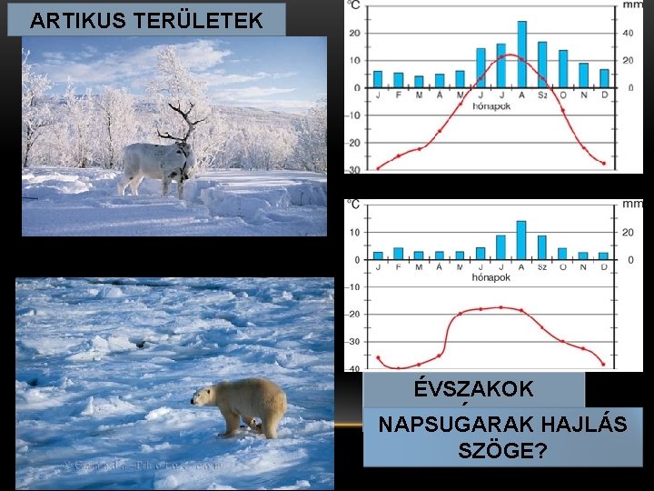 ARTIKUS TERÜLETEK ÉVSZAKOK SZÁMA? HAJLÁS NAPSUGARAK SZÖGE? 