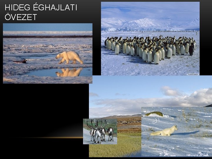 HIDEG ÉGHAJLATI ÖVEZET 