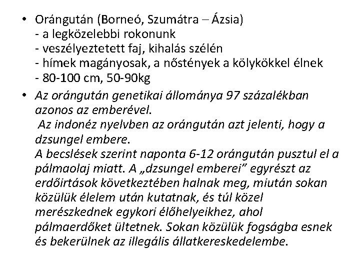  • Orángután (Borneó, Szumátra – Ázsia) - a legközelebbi rokonunk - veszélyeztetett faj,