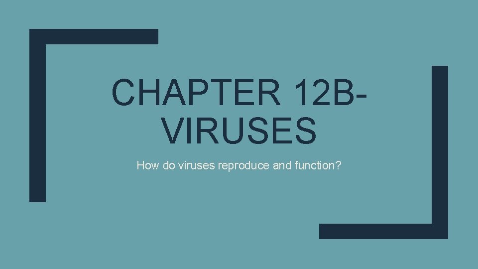 CHAPTER 12 BVIRUSES How do viruses reproduce and function? 