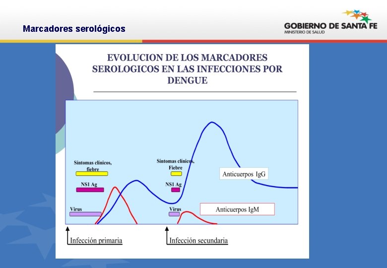 Marcadores serológicos 