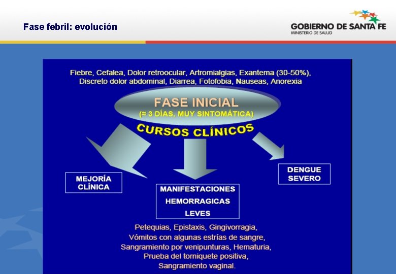 Fase febril: evolución 