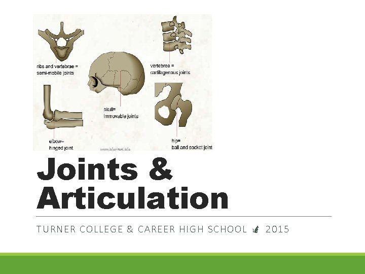 Joints & Articulation TURNER C OLLEGE & CAR EER HIGH SCHOOL 2015 