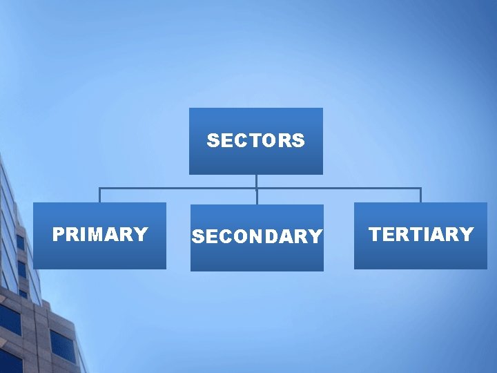 SECTORS PRIMARY SECONDARY TERTIARY 