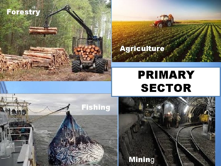 Forestry Agriculture PRIMARY SECTOR Fishing Mining 