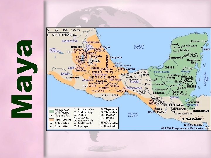 Maya Maya