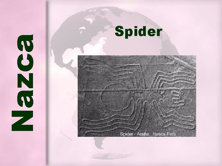 Nazca Spider Nazca Spider