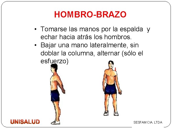 HOMBRO-BRAZO • Tomarse las manos por la espalda y echar hacia atrás los hombros.