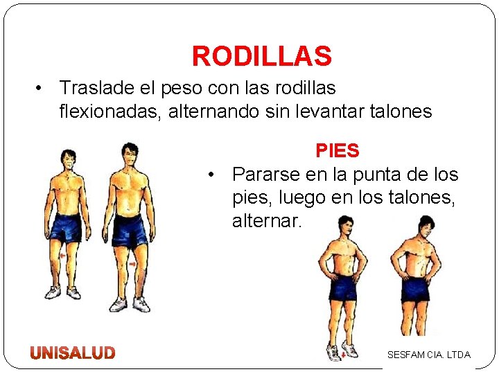 RODILLAS • Traslade el peso con las rodillas flexionadas, alternando sin levantar talones PIES