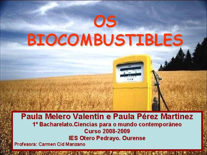 OS BIOCOMBUSTIBLES Paula Melero Valentín e Paula Pérez Martínez 1º Bacharelato. Ciencias para o
