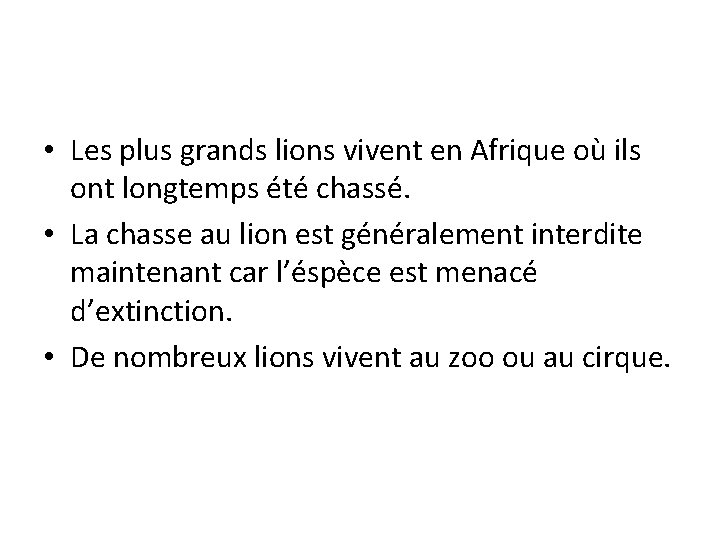  • Les plus grands lions vivent en Afrique où ils ont longtemps été