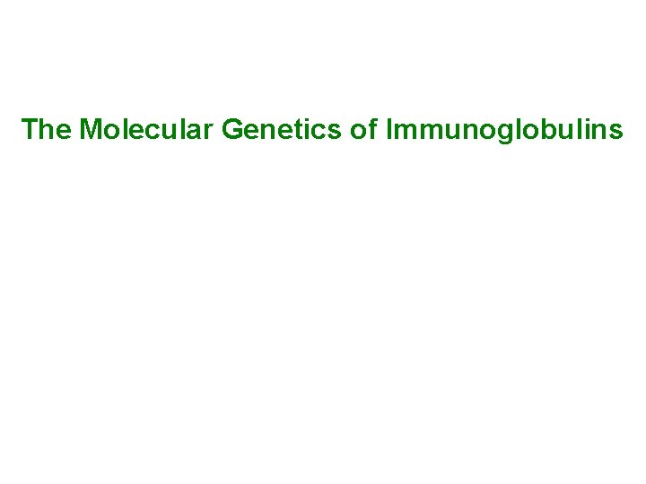 The Molecular Genetics of Immunoglobulins 