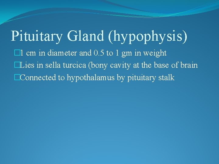 Pituitary Gland (hypophysis) � 1 cm in diameter and 0. 5 to 1 gm