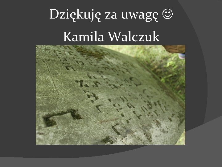 Dziękuję za uwagę Kamila Walczuk 