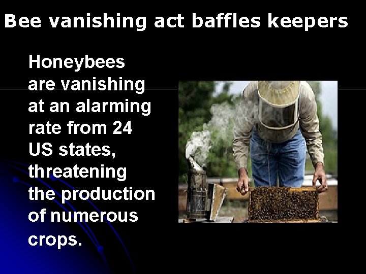 Bee vanishing act baffles keepers Honeybees are vanishing at an alarming rate from 24