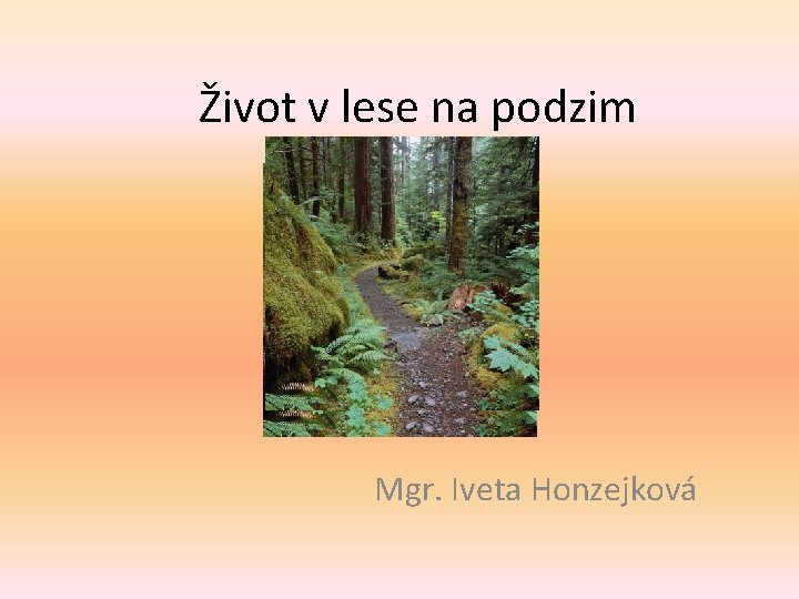 Život v lese na podzim Mgr. Iveta Honzejková 