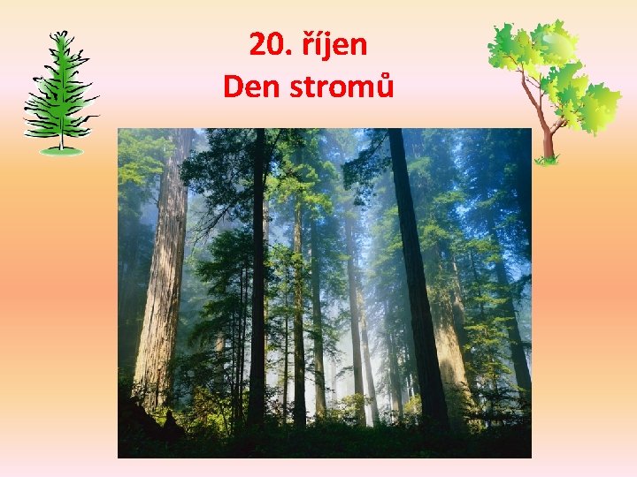 20. říjen Den stromů 