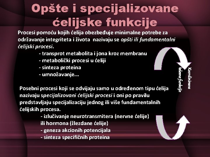 Opšte i specijalizovane ćelijske funkcije Koordinirane Posebni procesi koji se odvijaju samo u određenom