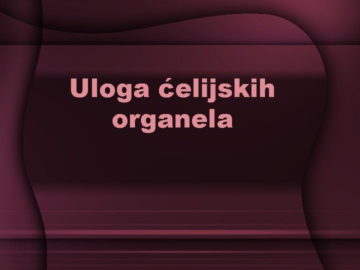 Uloga ćelijskih organela 