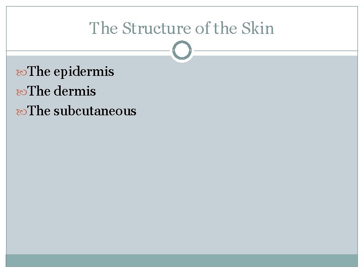 The Structure of the Skin The epidermis The subcutaneous 